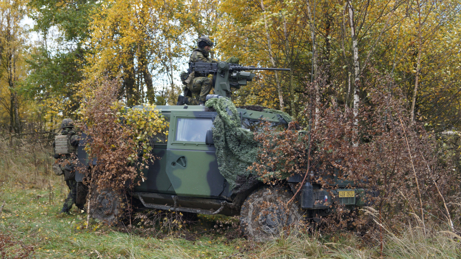 Původní výzbrojí 74. lehkého motorizovaného praporu byla lehká pancéřová vozidla IVECO a u průzkumné čety pak čtyři vozidla Pandur. V současné době disponuje reorganizovaný prapor vozidly BVP-2, ale má být jako první přezbrojen na nové CV90. 